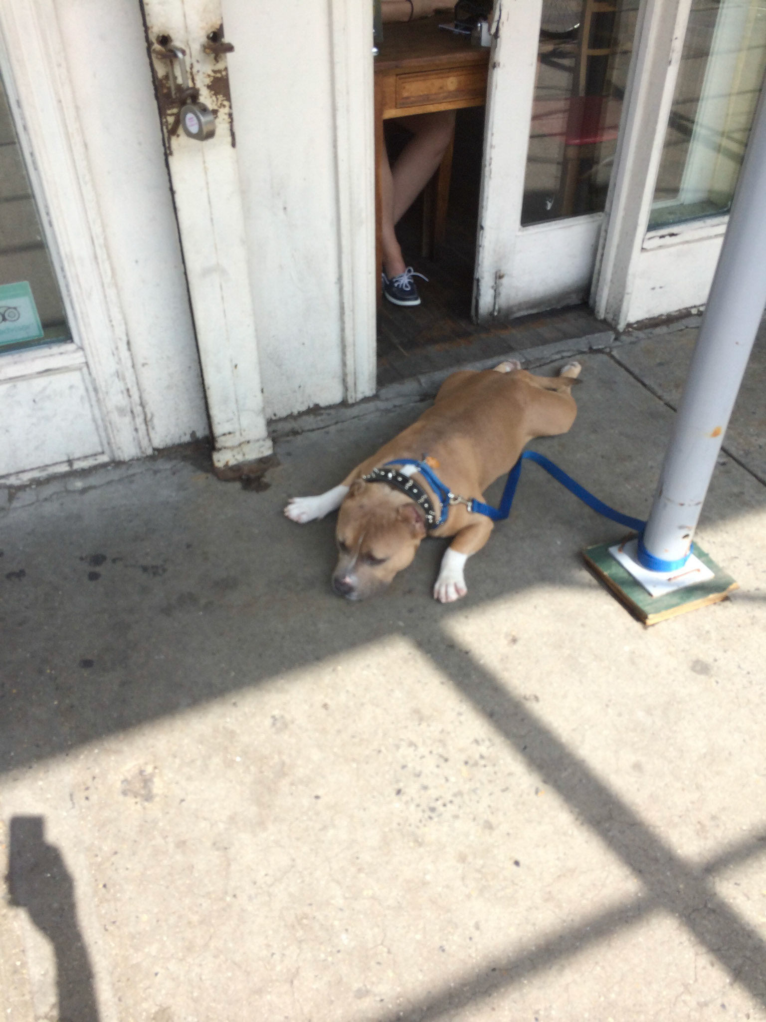 (Oba) Ohkba Ameziane-Hassani 2016 © obafkps@gmail.com ©  www.oba-photo.com