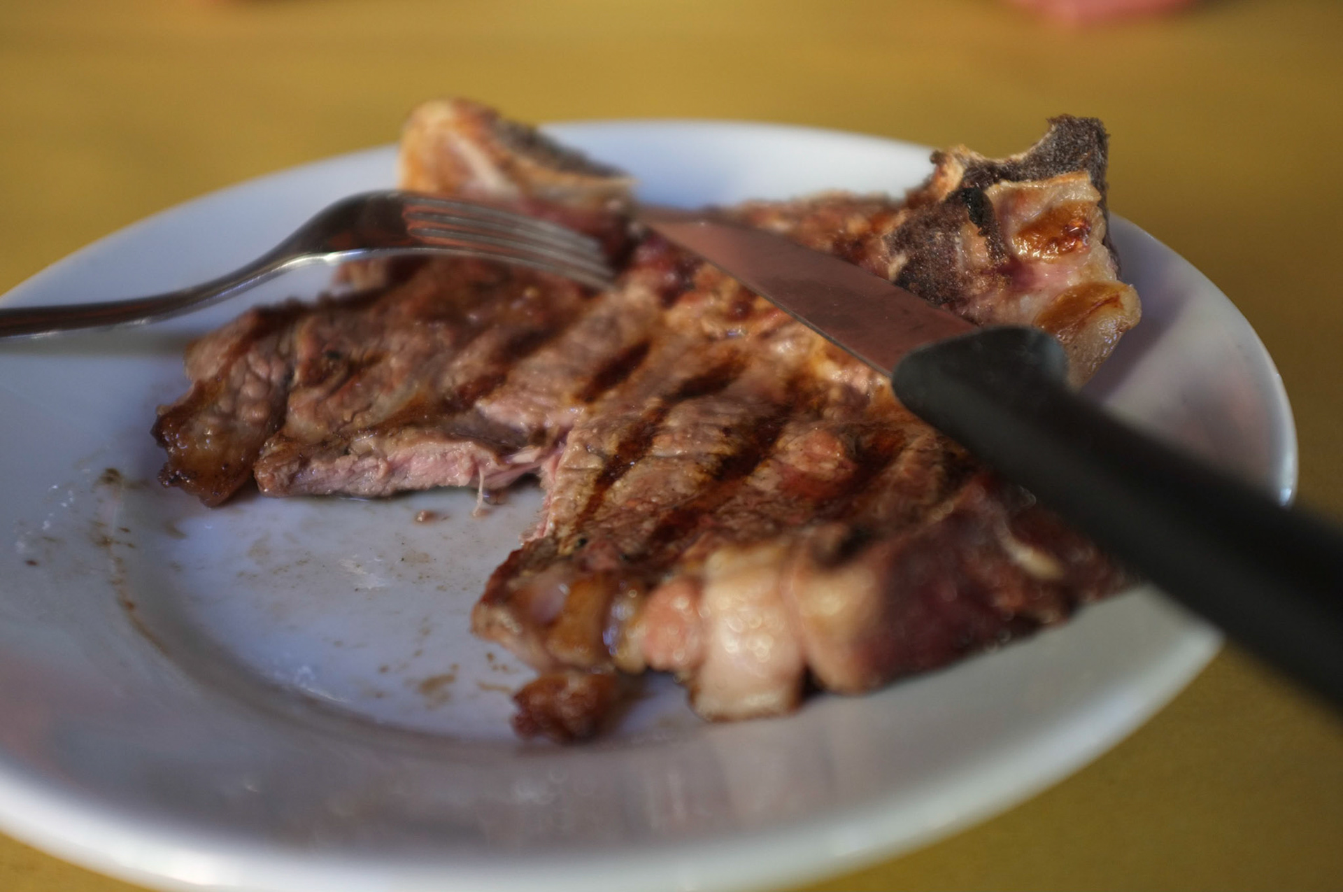 (Oba) Ohkba Ameziane-Hassani 2016 © obafkps@gmail.com ©  www.oba-photo.com