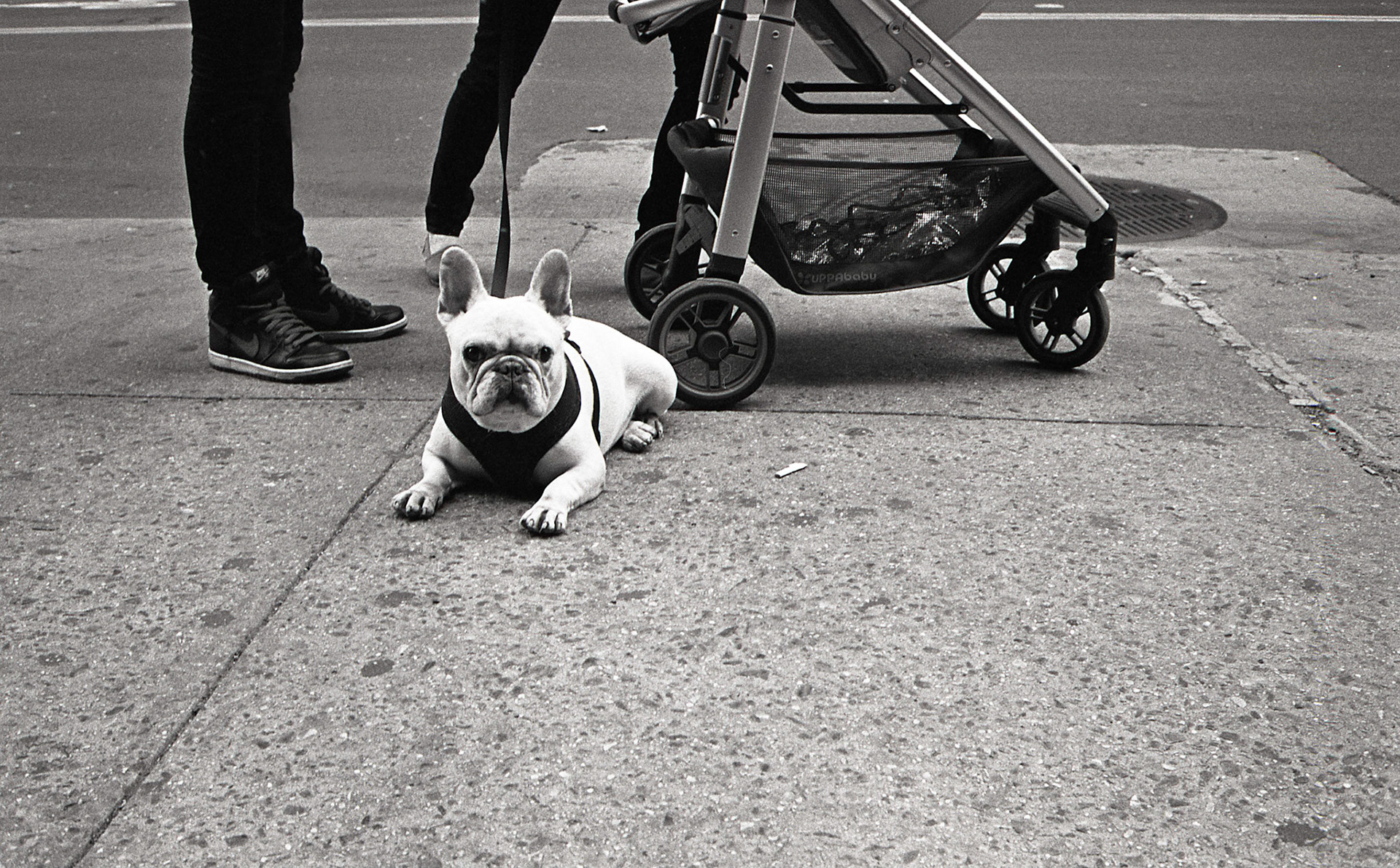 (Oba) Ohkba Ameziane-Hassani 2016 © obafkps@gmail.com ©  www.oba-photo.com