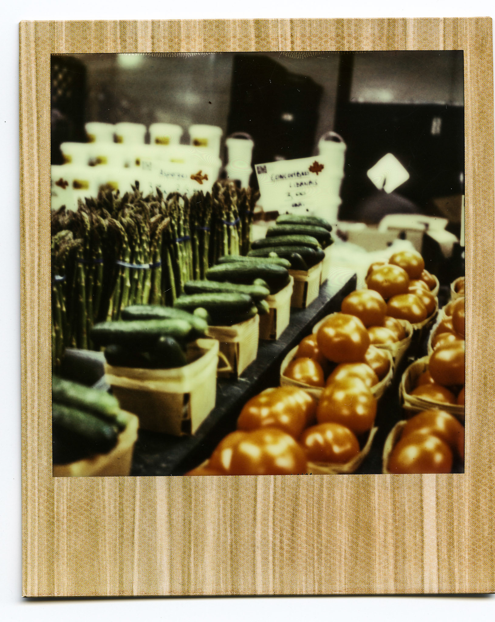 (Oba) Ohkba Ameziane-Hassani 2016 © obafkps@gmail.com ©  www.oba-photo.com©