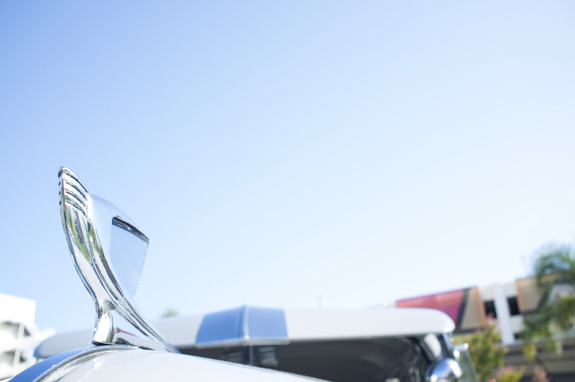 (Oba) Ohkba Ameziane-Hassani 2016 © obafkps@gmail.com ©  www.oba-photo.com