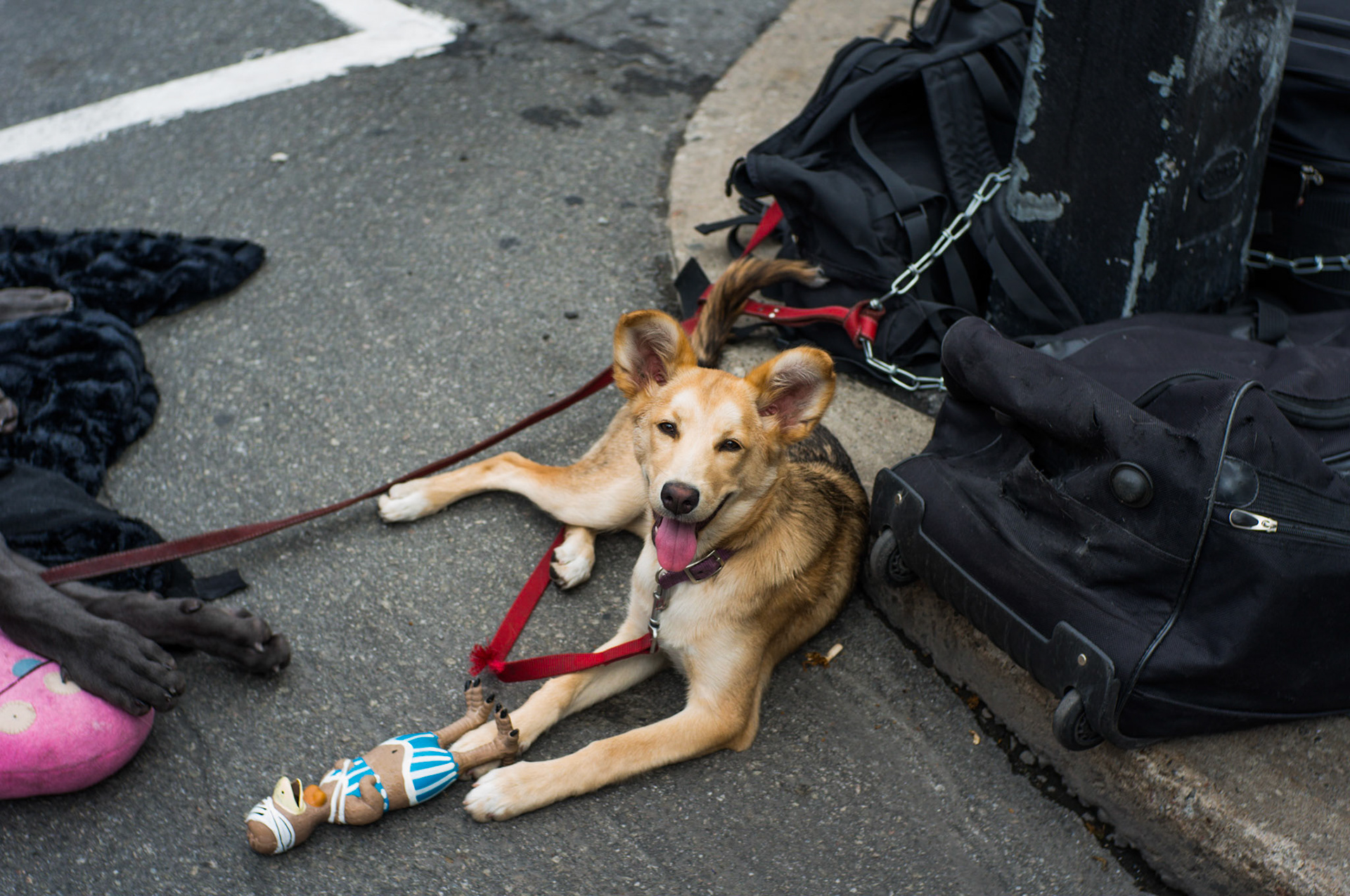 (Oba) Ohkba Ameziane-Hassani 2016 © obafkps@gmail.com ©  www.oba-photo.com