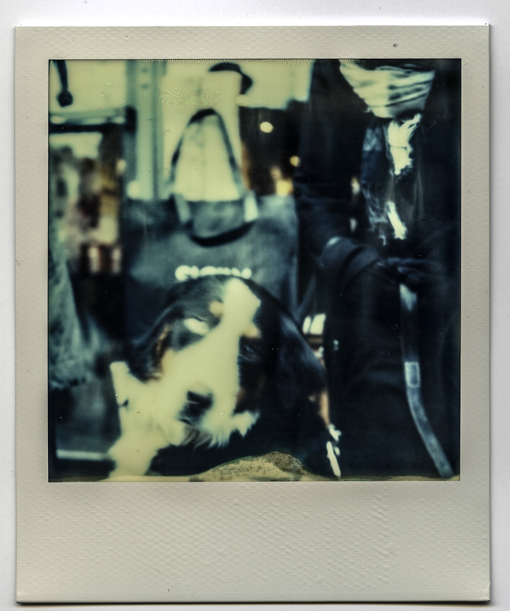 (Oba) Ohkba Ameziane-Hassani 2016 © obafkps@gmail.com ©  www.oba-photo.com©