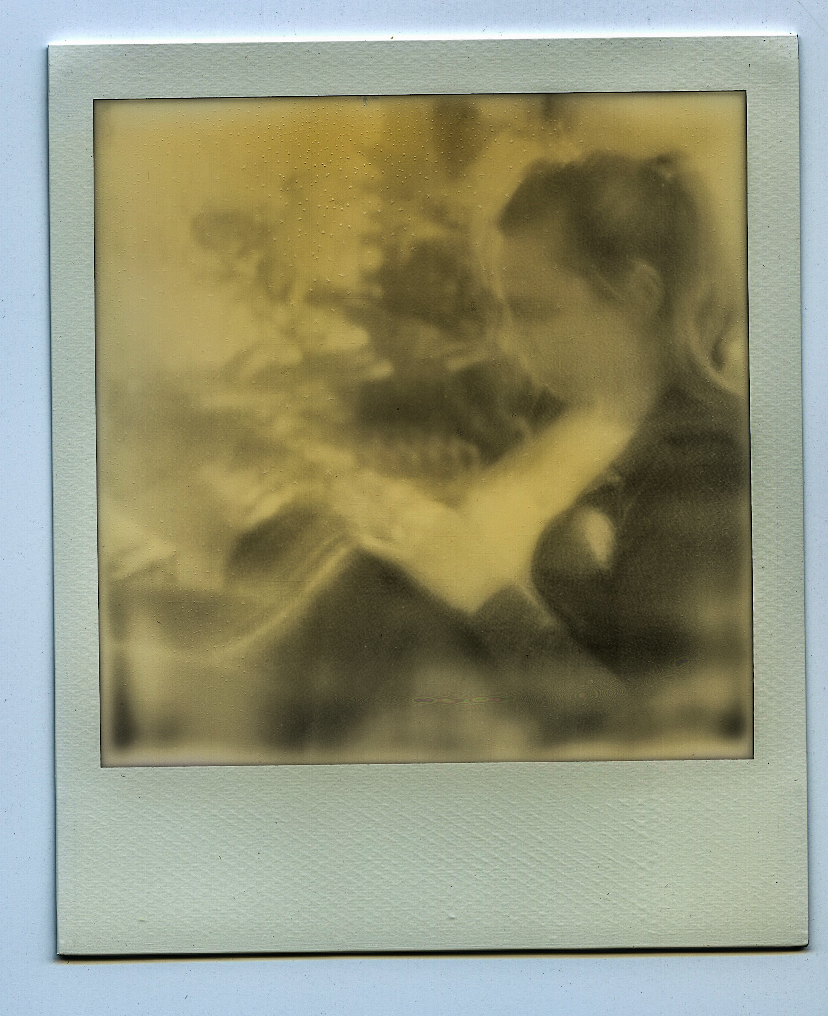 (Oba) Ohkba Ameziane-Hassani 2016 © obafkps@gmail.com ©  www.oba-photo.com©