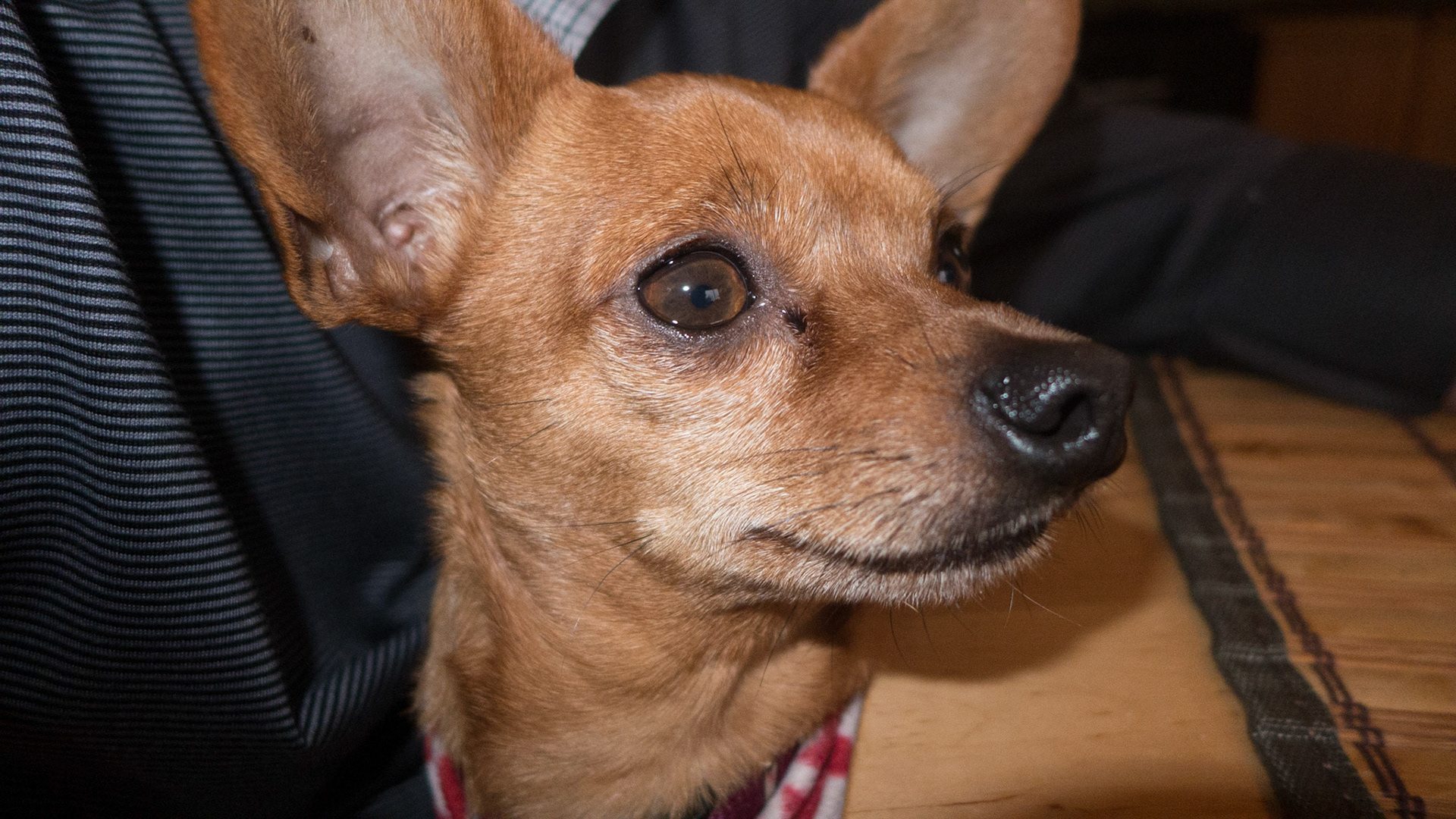 (Oba) Ohkba Ameziane-Hassani 2016 © obafkps@gmail.com ©  www.oba-photo.com