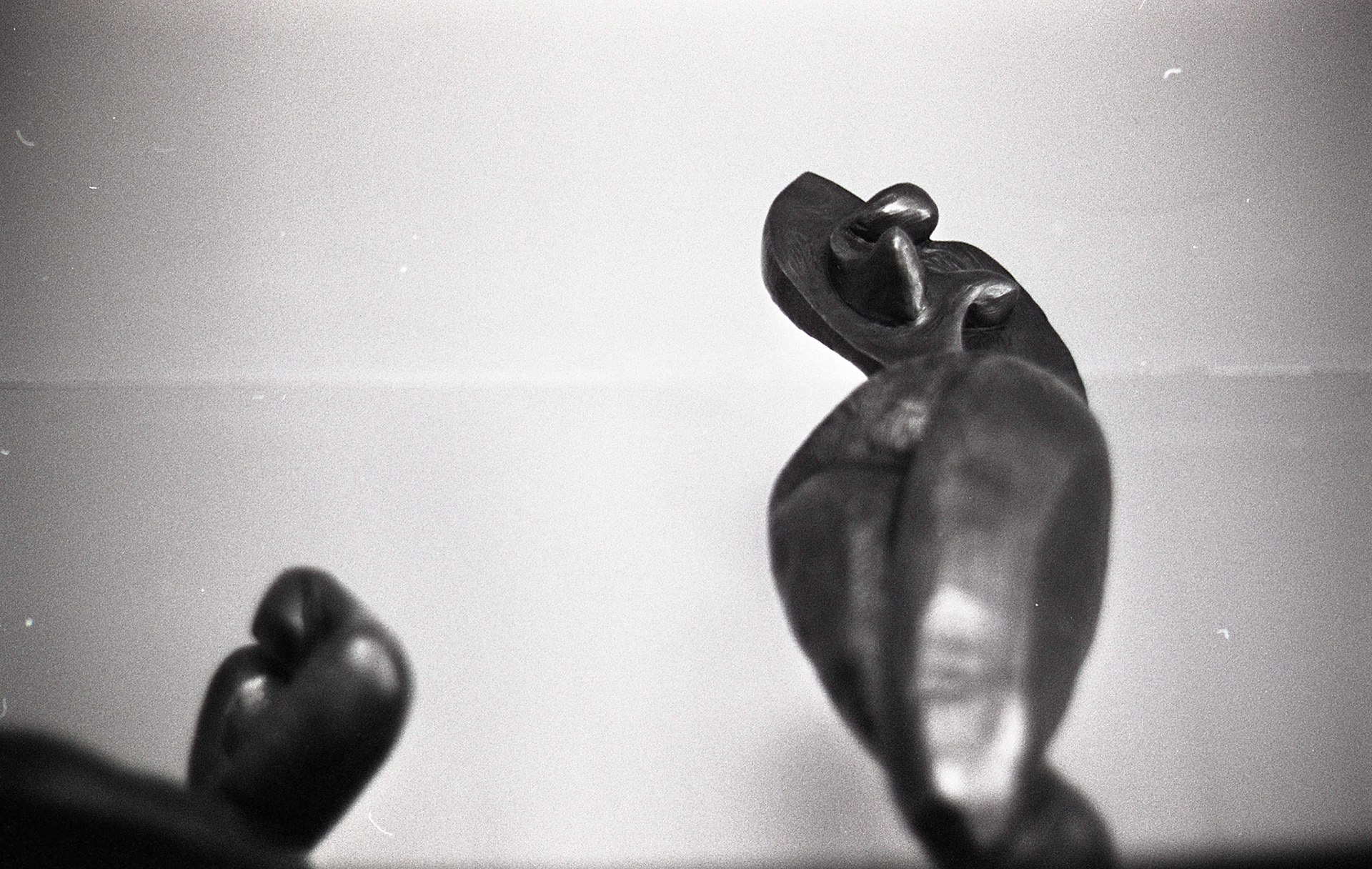 (Oba) Ohkba Ameziane-Hassani 2016 © obafkps@gmail.com ©  www.oba-photo.com