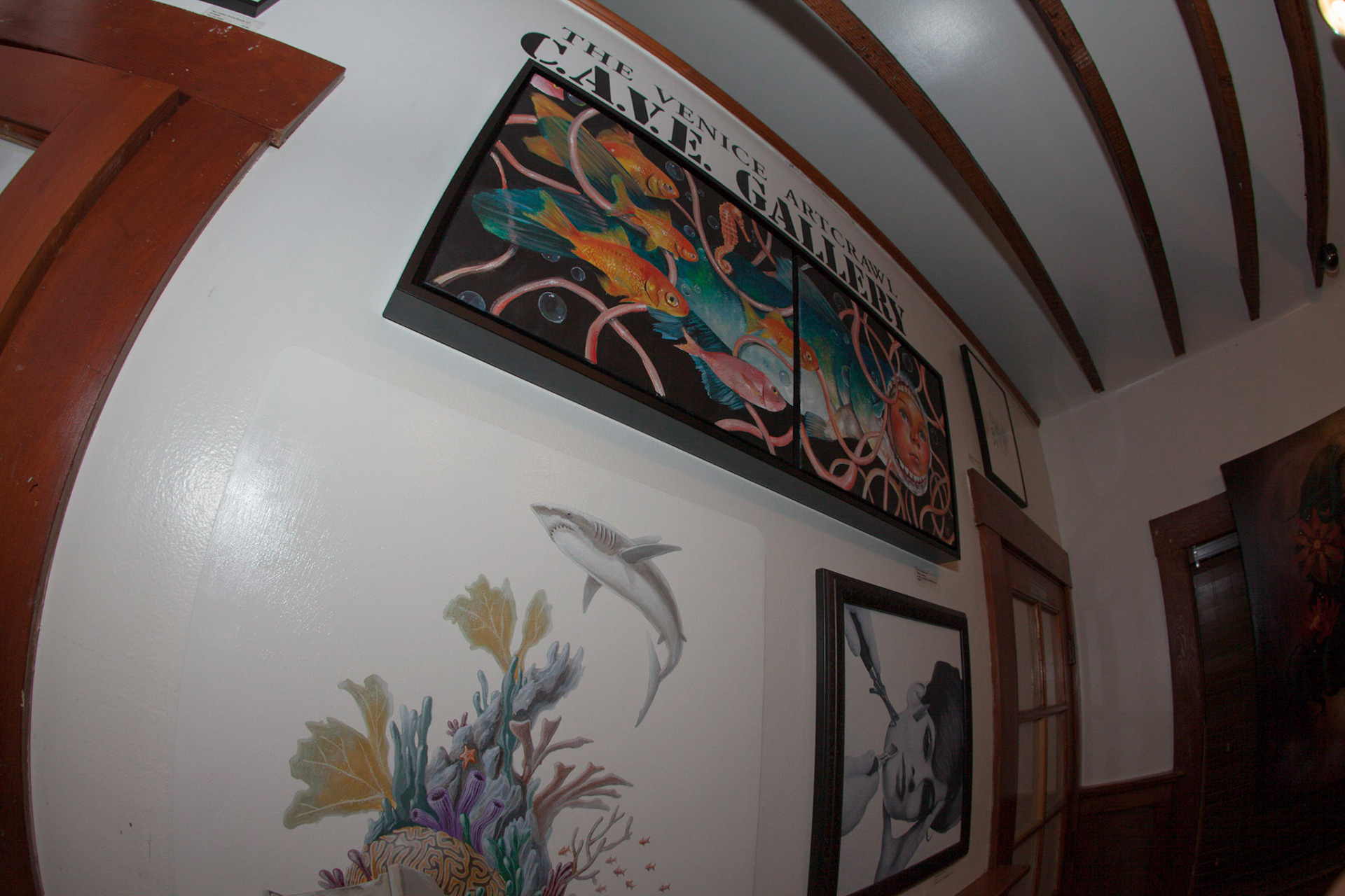 (Oba) Ohkba Ameziane-Hassani 2016 © obafkps@gmail.com ©  www.oba-photo.com