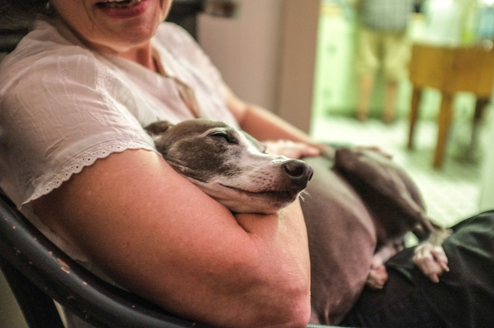 (Oba) Ohkba Ameziane-Hassani 2016 © obafkps@gmail.com ©  www.oba-photo.com