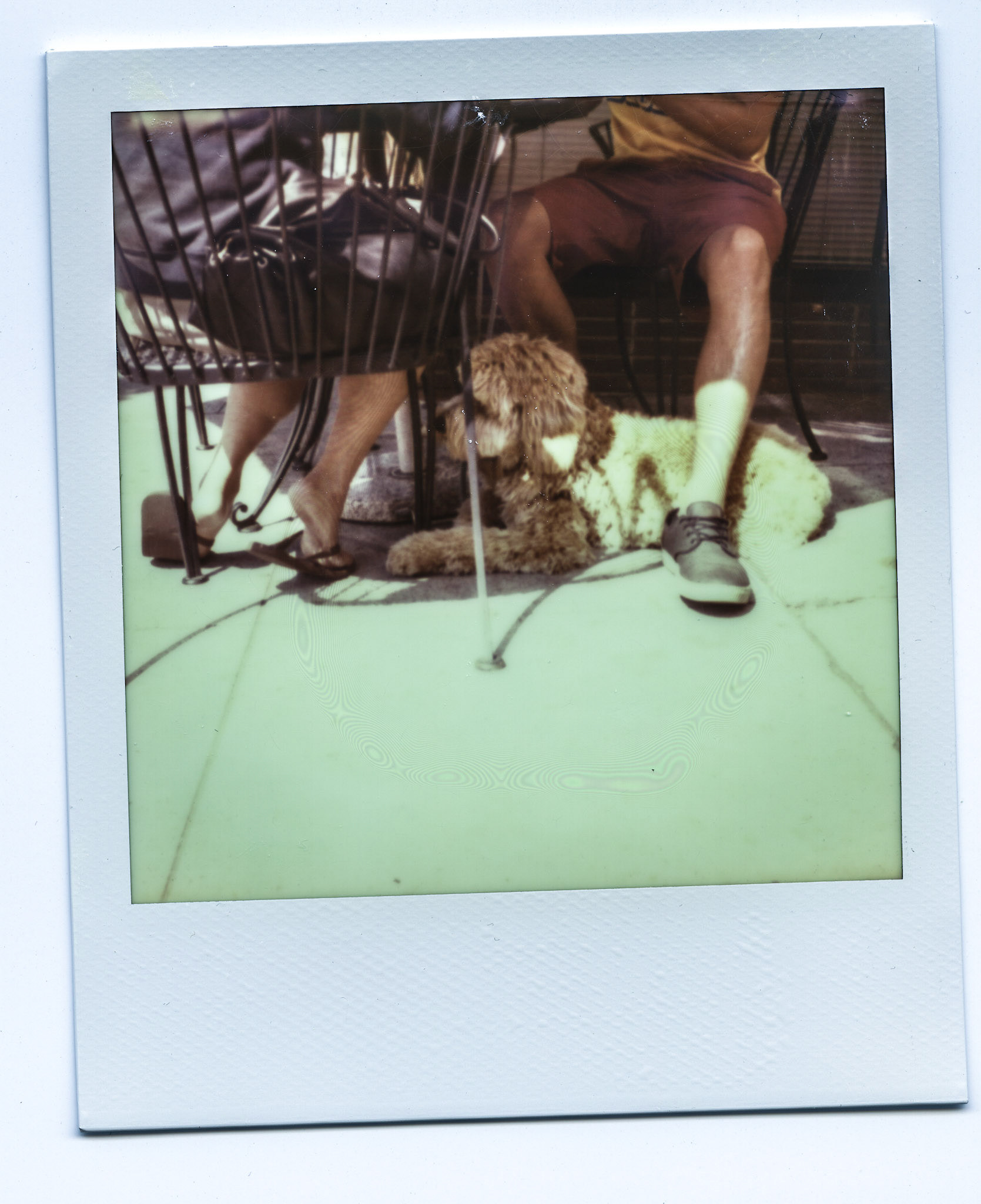 (Oba) Ohkba Ameziane-Hassani 2016 © obafkps@gmail.com ©  www.oba-photo.com©