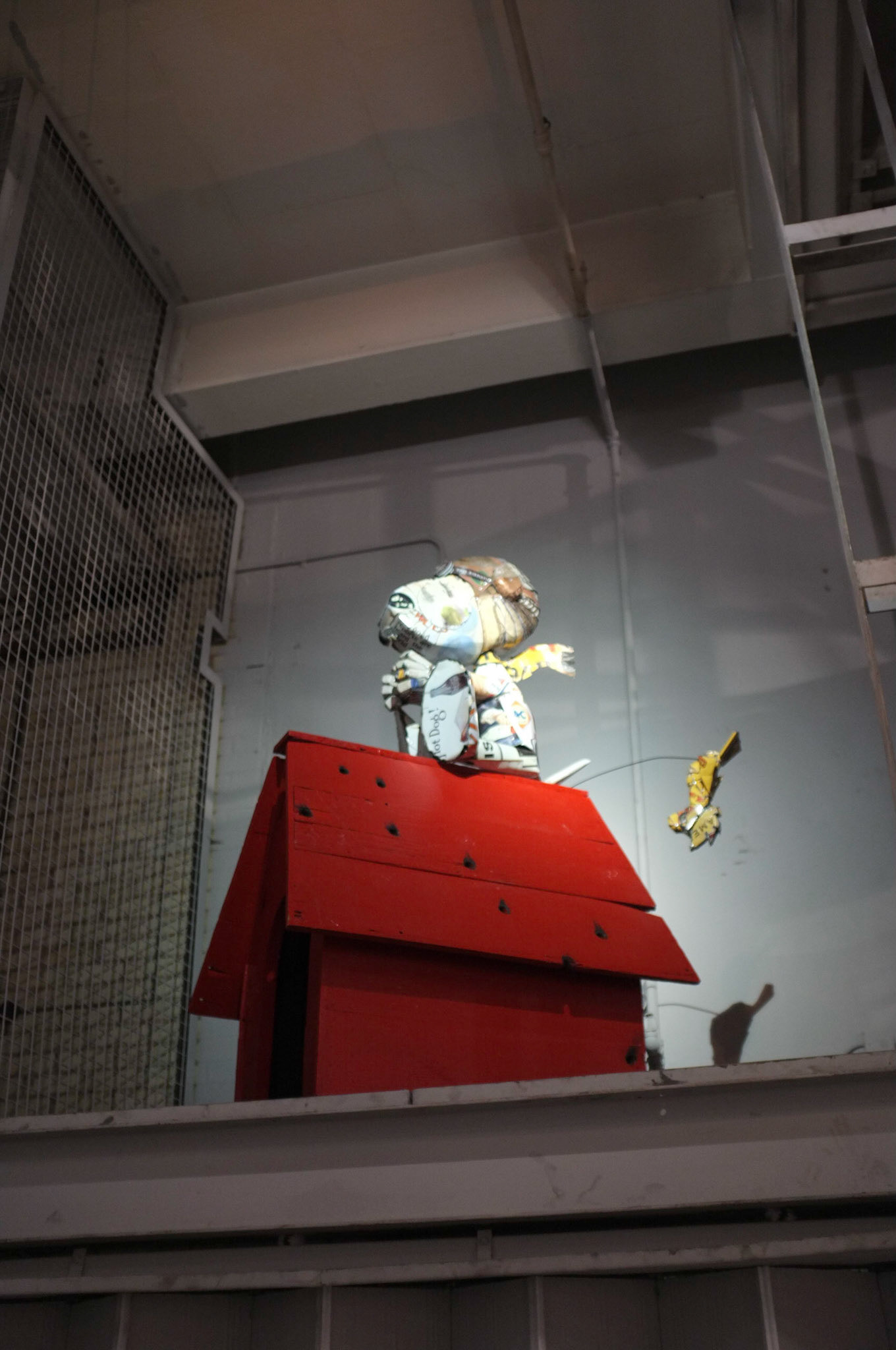 (Oba) Ohkba Ameziane-Hassani 2016 © obafkps@gmail.com ©  www.oba-photo.com