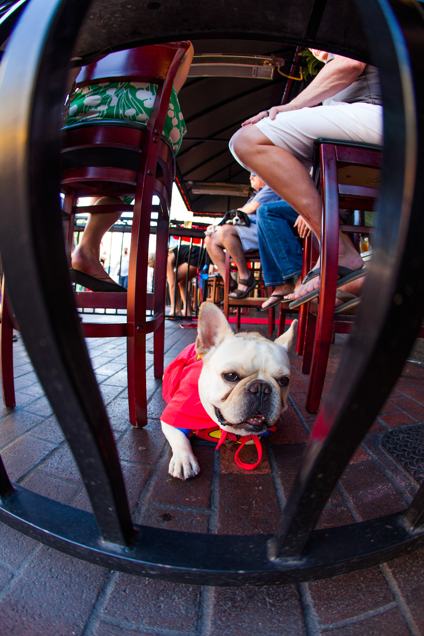 (Oba) Ohkba Ameziane-Hassani 2016 © obafkps@gmail.com ©  www.oba-photo.com