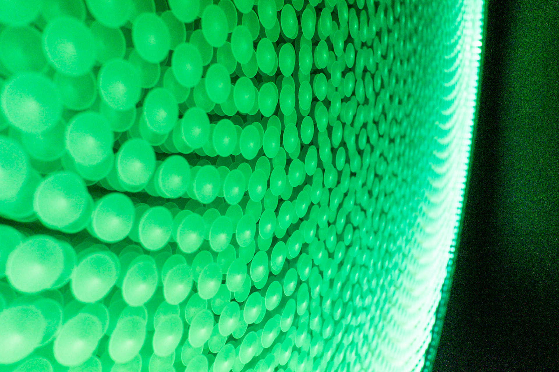 (Oba) Ohkba Ameziane-Hassani 2016 © obafkps@gmail.com ©  www.oba-photo.com