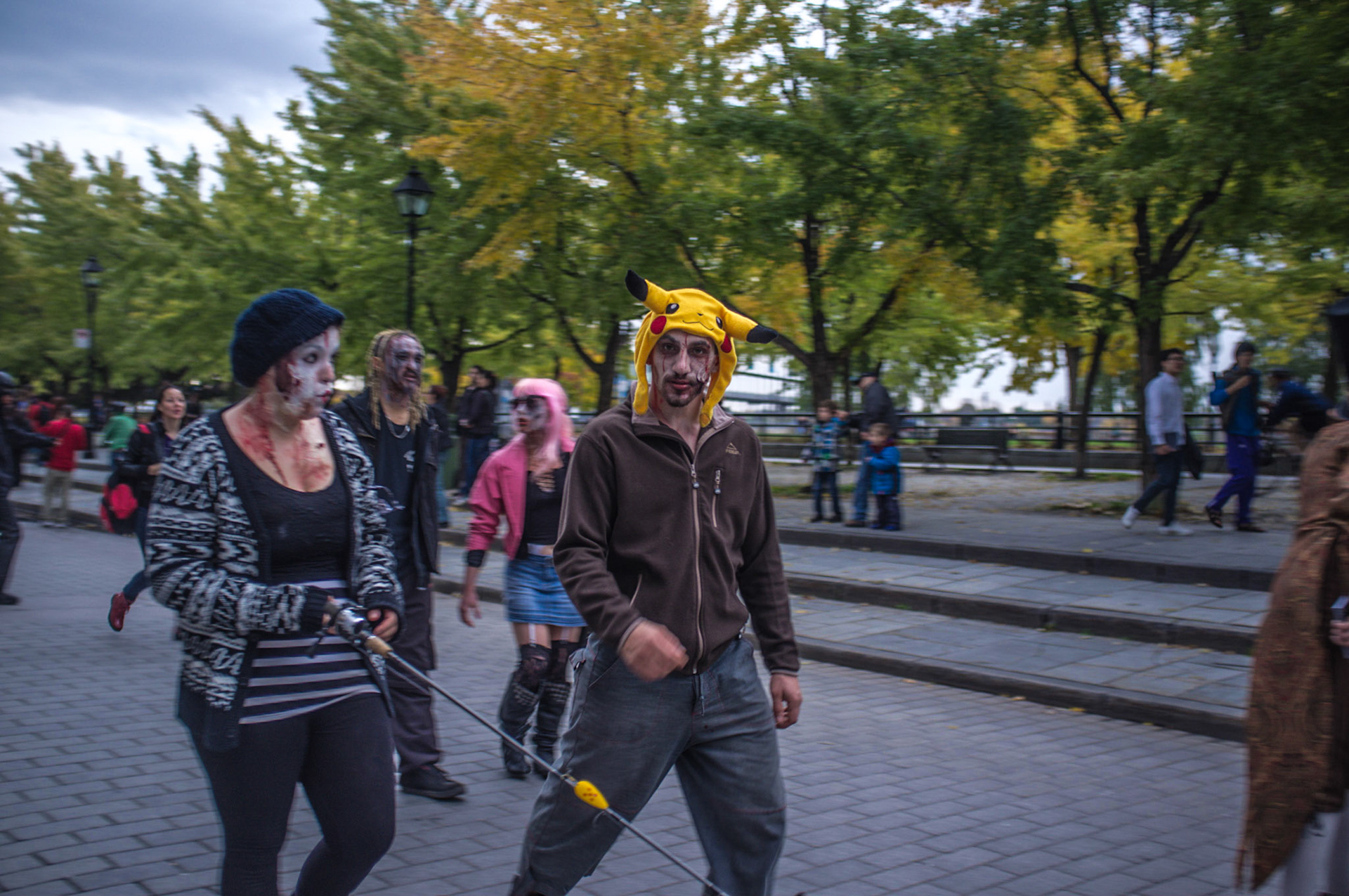 (Oba) Ohkba Ameziane-Hassani 2016 © obafkps@gmail.com ©  www.oba-photo.com