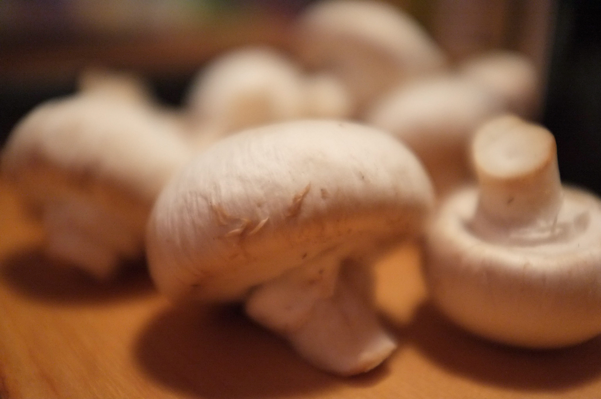 (Oba) Ohkba Ameziane-Hassani 2016 © obafkps@gmail.com ©  www.oba-photo.com