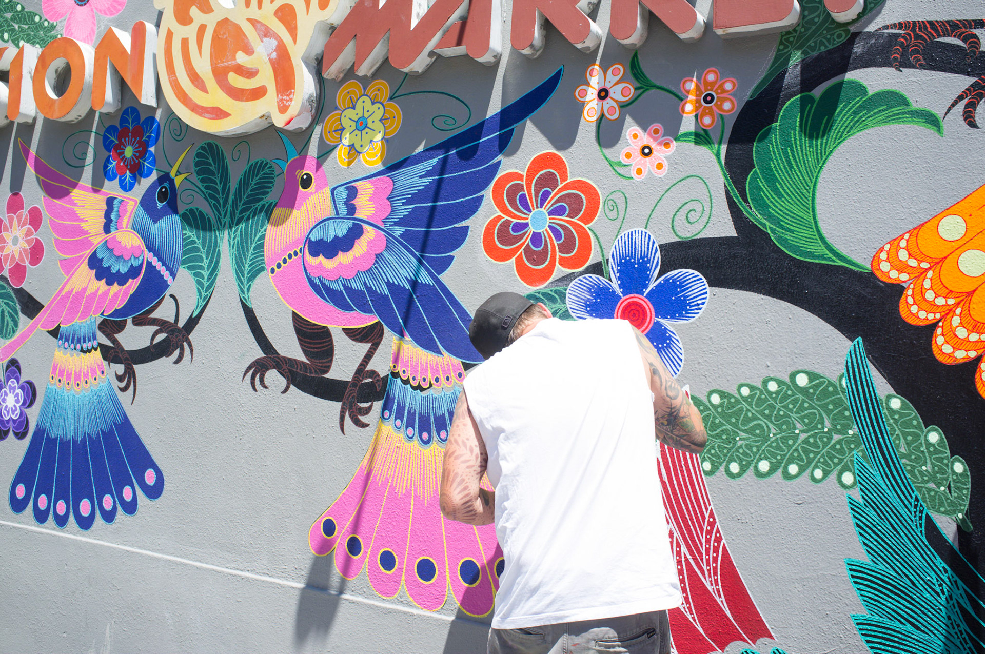 (Oba) Ohkba Ameziane-Hassani 2016 © obafkps@gmail.com ©  www.oba-photo.com