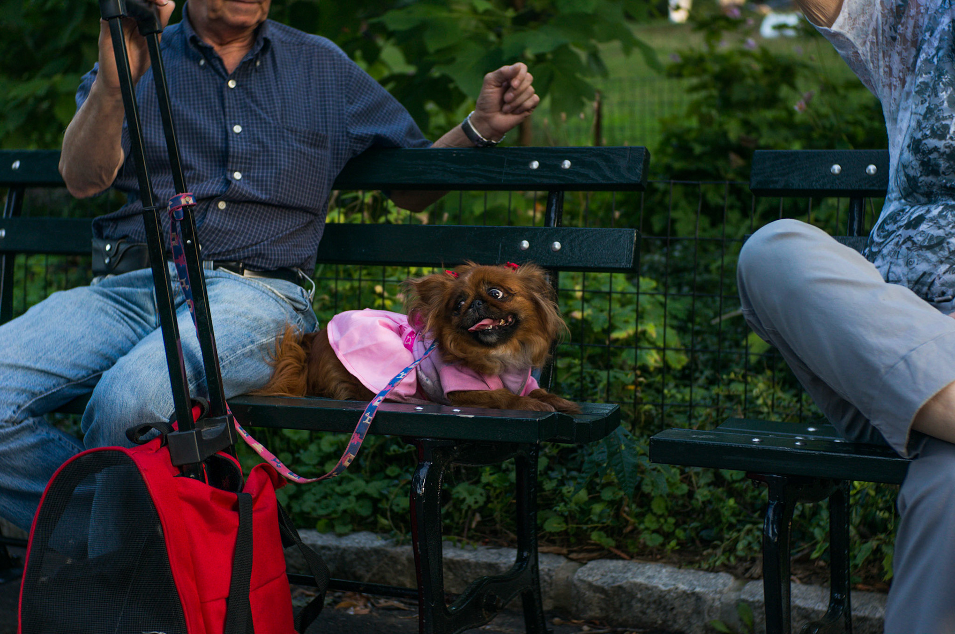 (Oba) Ohkba Ameziane-Hassani 2016 © obafkps@gmail.com ©  www.oba-photo.com