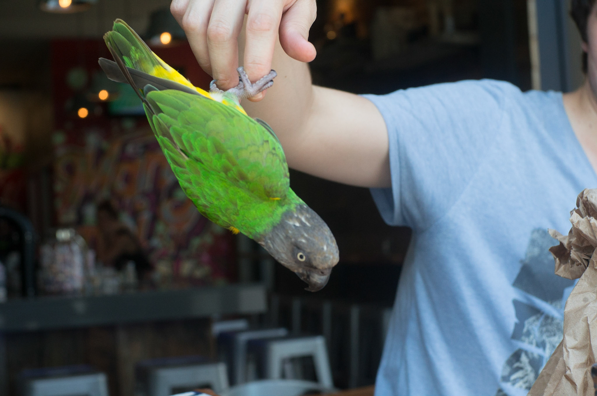 (Oba) Ohkba Ameziane-Hassani 2016 © obafkps@gmail.com ©  www.oba-photo.com