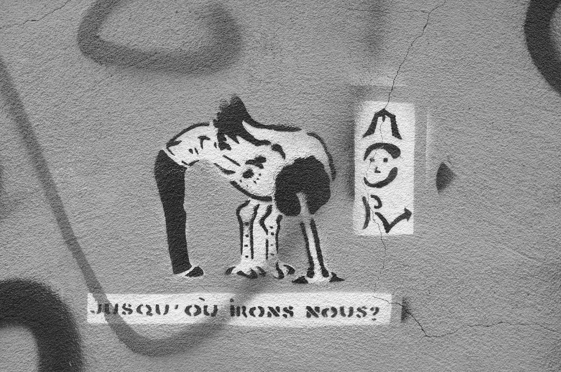 (Oba) Ohkba Ameziane-Hassani 2016 © obafkps@gmail.com ©  www.oba-photo.com