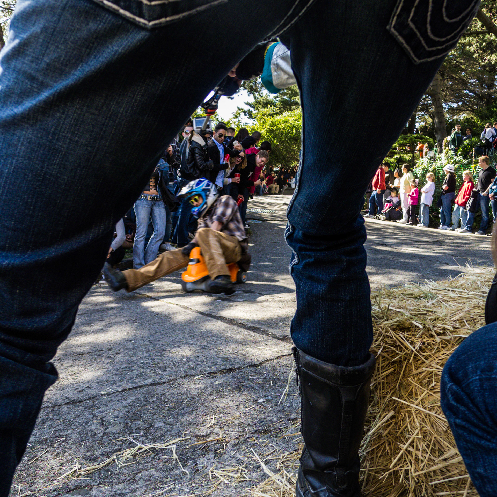 (Oba) Ohkba Ameziane-Hassani 2016 © obafkps@gmail.com ©  www.oba-photo.com