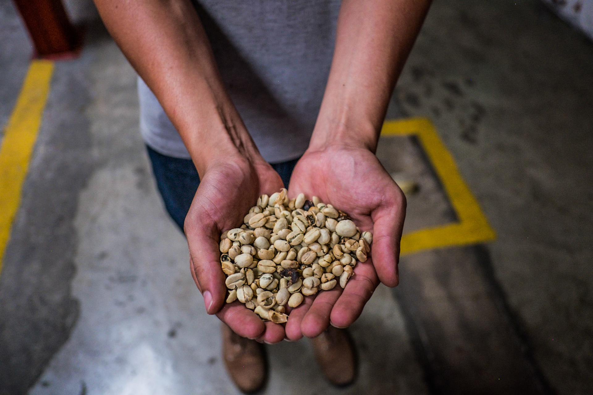 (Oba) Ohkba Ameziane-Hassani 2016 © obafkps@gmail.com ©  www.oba-photo.com