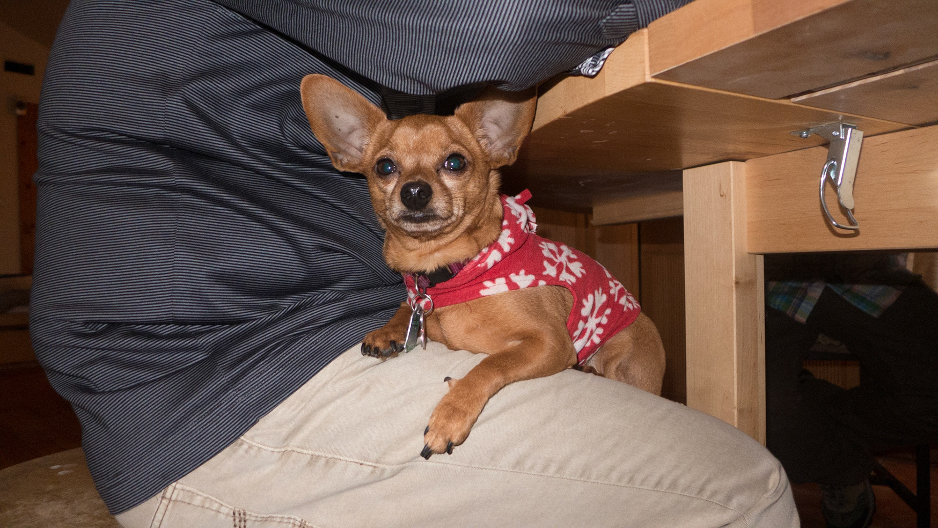 (Oba) Ohkba Ameziane-Hassani 2016 © obafkps@gmail.com ©  www.oba-photo.com