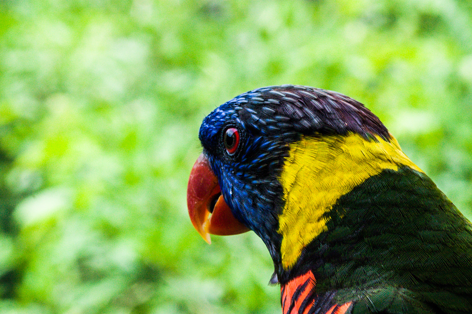 (Oba) Ohkba Ameziane-Hassani 2016 © obafkps@gmail.com ©  www.oba-photo.com