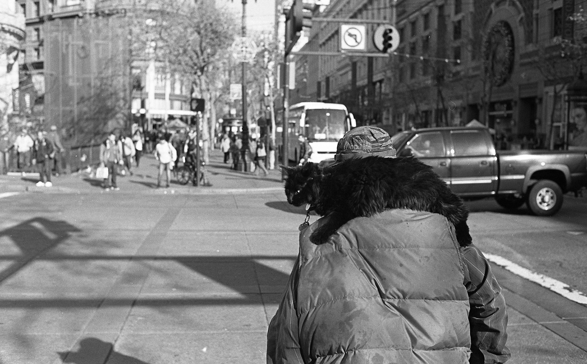 (Oba) Ohkba Ameziane-Hassani 2016 © obafkps@gmail.com ©  www.oba-photo.com