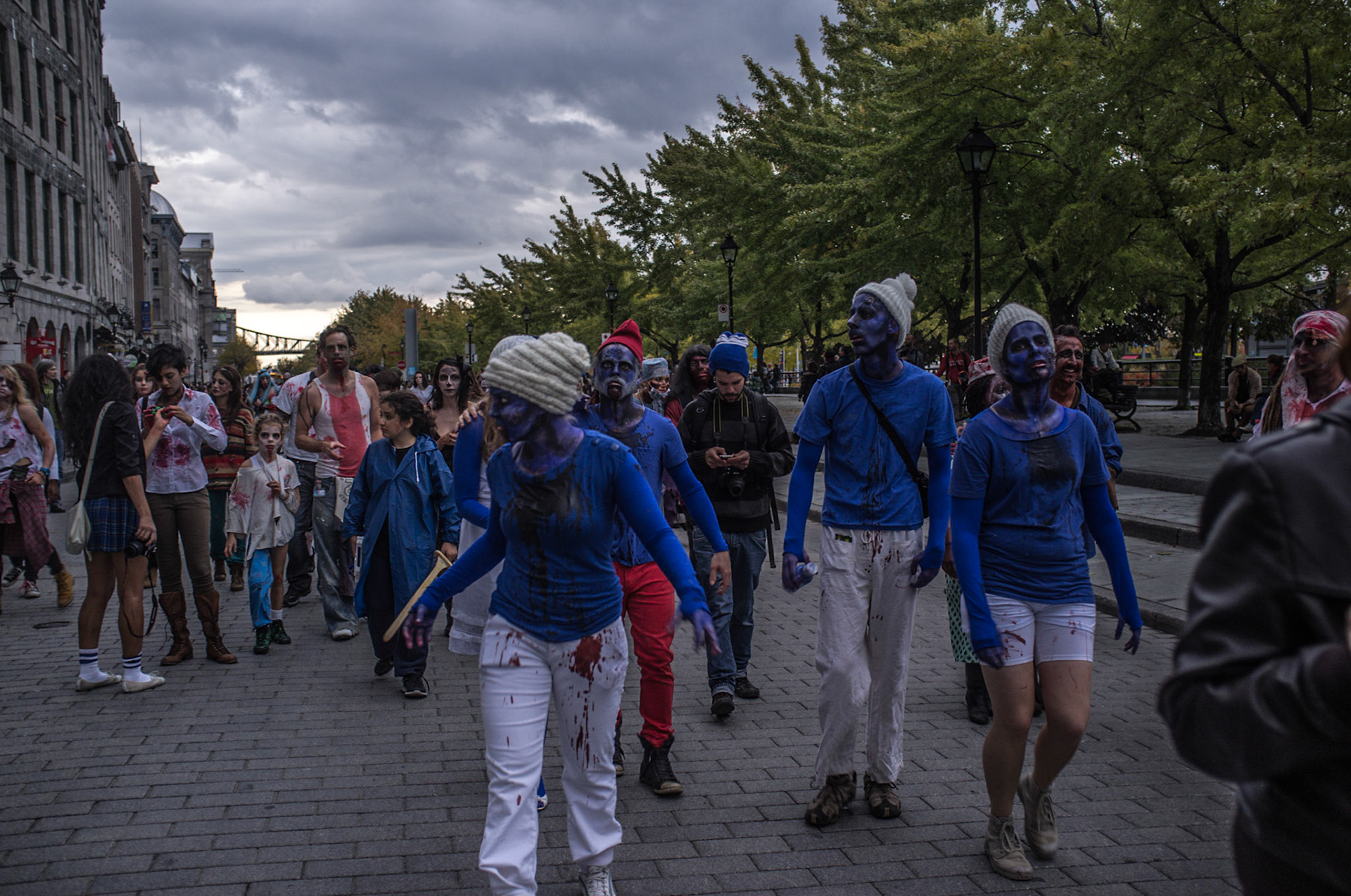 (Oba) Ohkba Ameziane-Hassani 2016 © obafkps@gmail.com ©  www.oba-photo.com