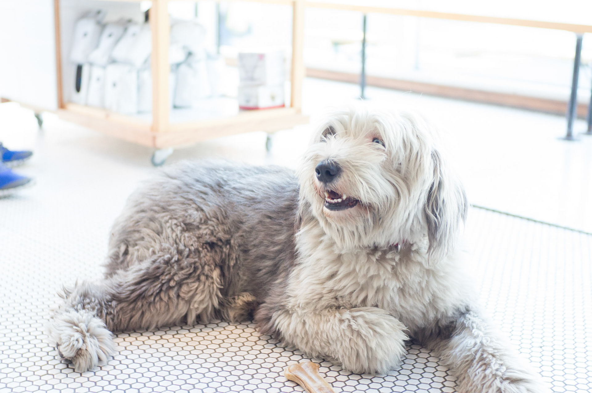 (Oba) Ohkba Ameziane-Hassani 2016 © obafkps@gmail.com ©  www.oba-photo.com