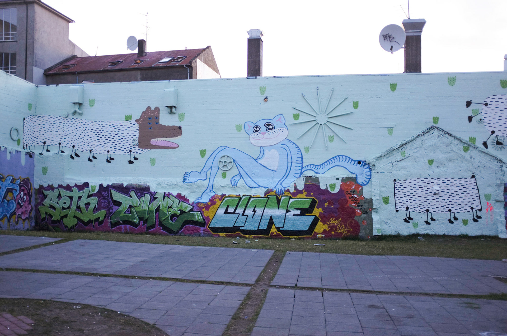 (Oba) Ohkba Ameziane-Hassani 2016 © obafkps@gmail.com ©  www.oba-photo.com