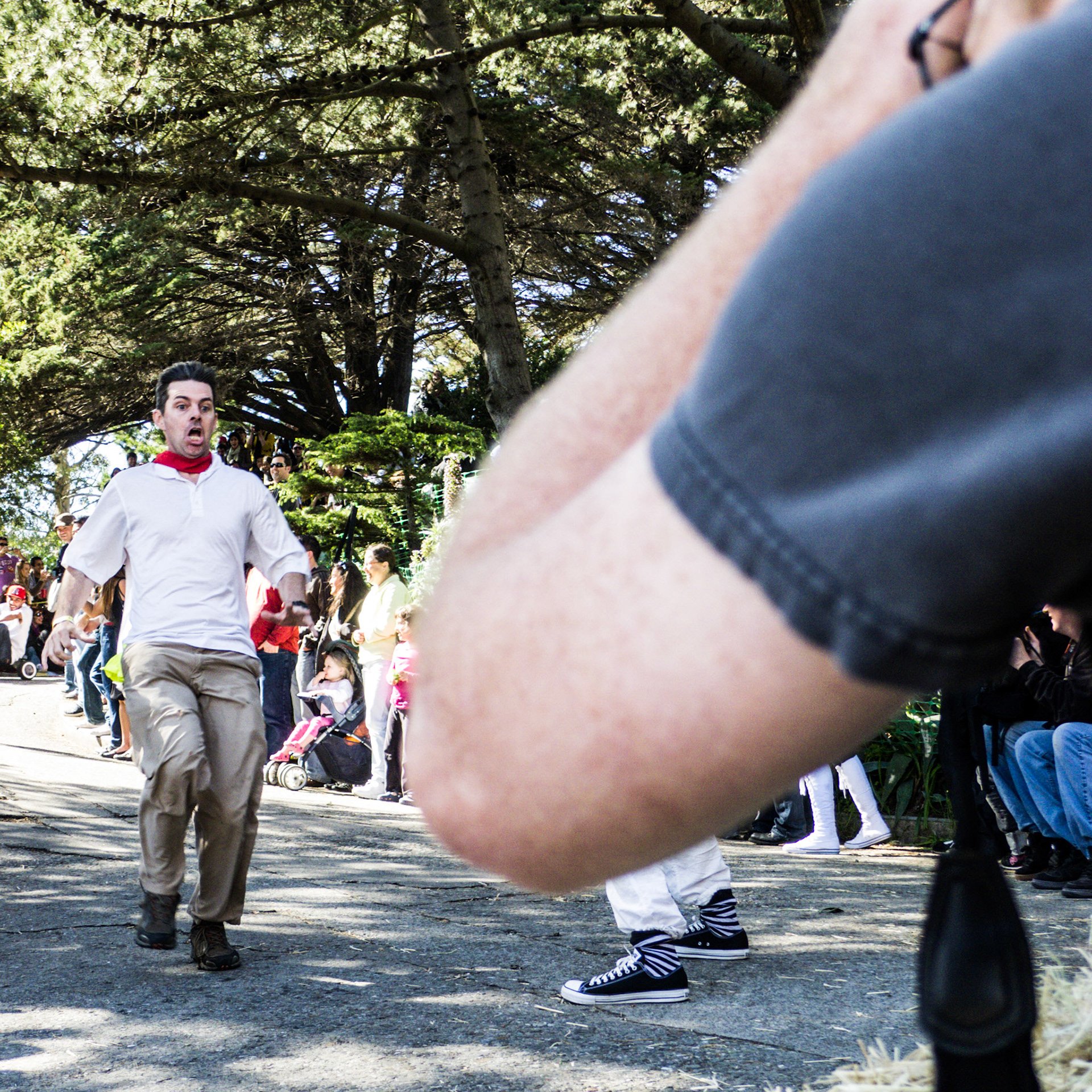 (Oba) Ohkba Ameziane-Hassani 2016 © obafkps@gmail.com ©  www.oba-photo.com