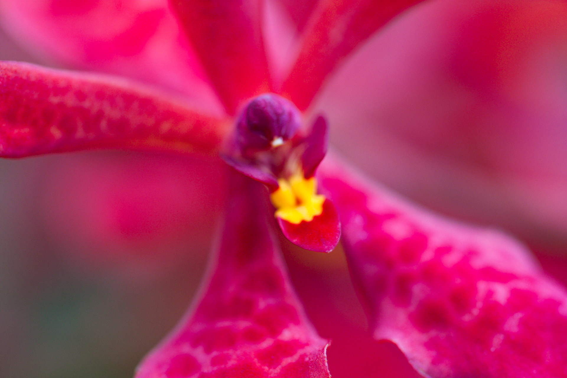 (Oba) Ohkba Ameziane-Hassani 2016 © obafkps@gmail.com ©  www.oba-photo.com