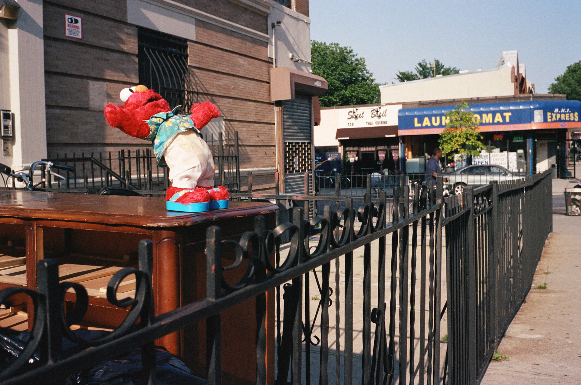 (Oba) Ohkba Ameziane-Hassani 2016 © obafkps@gmail.com ©  www.oba-photo.com