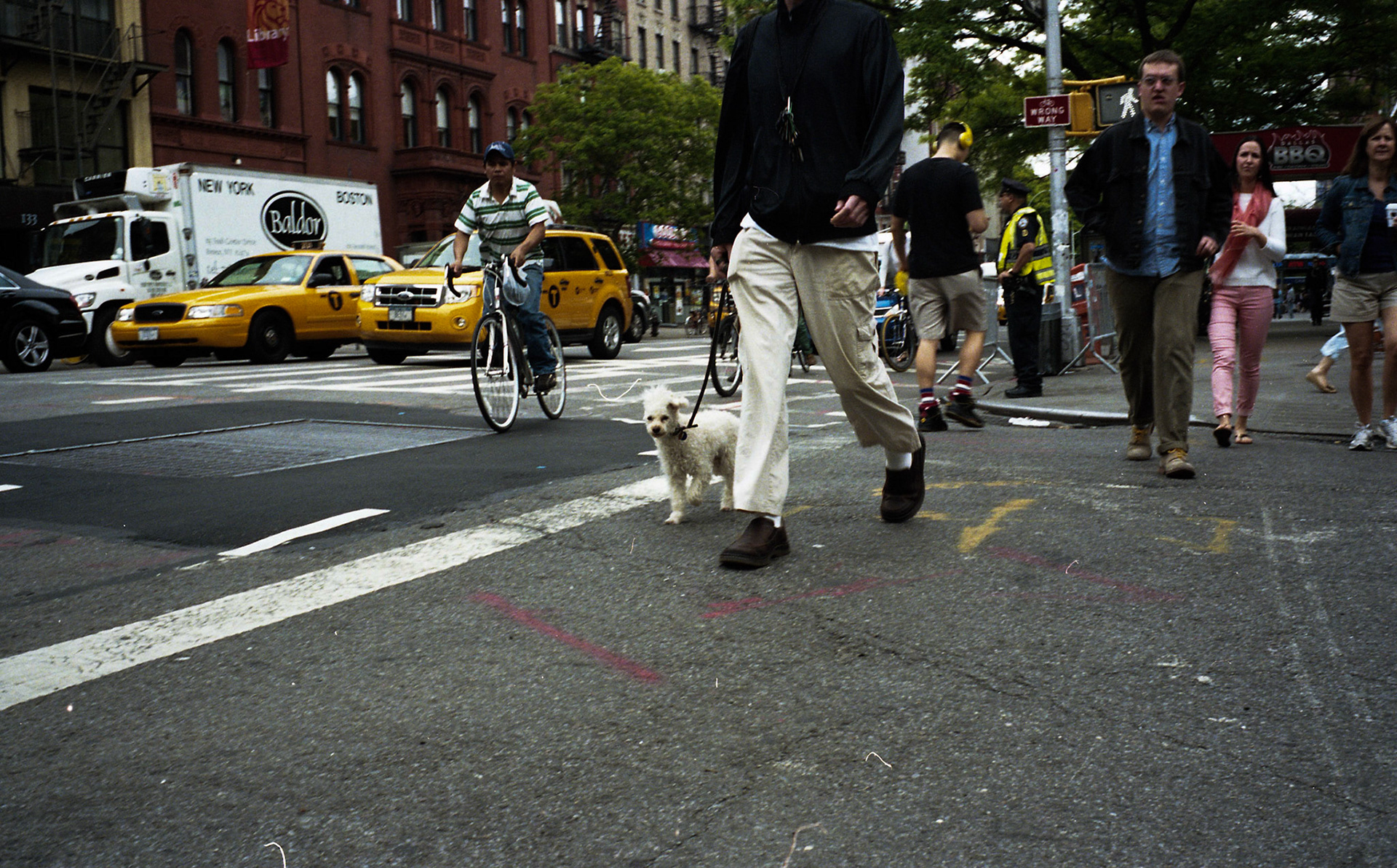 (Oba) Ohkba Ameziane-Hassani 2016 © obafkps@gmail.com ©  www.oba-photo.com