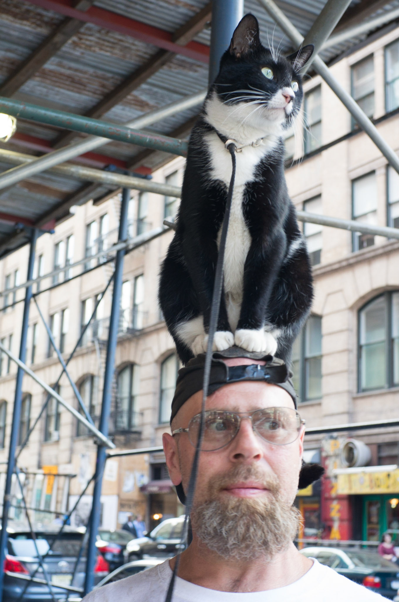 (Oba) Ohkba Ameziane-Hassani 2016 © obafkps@gmail.com ©  www.oba-photo.com©