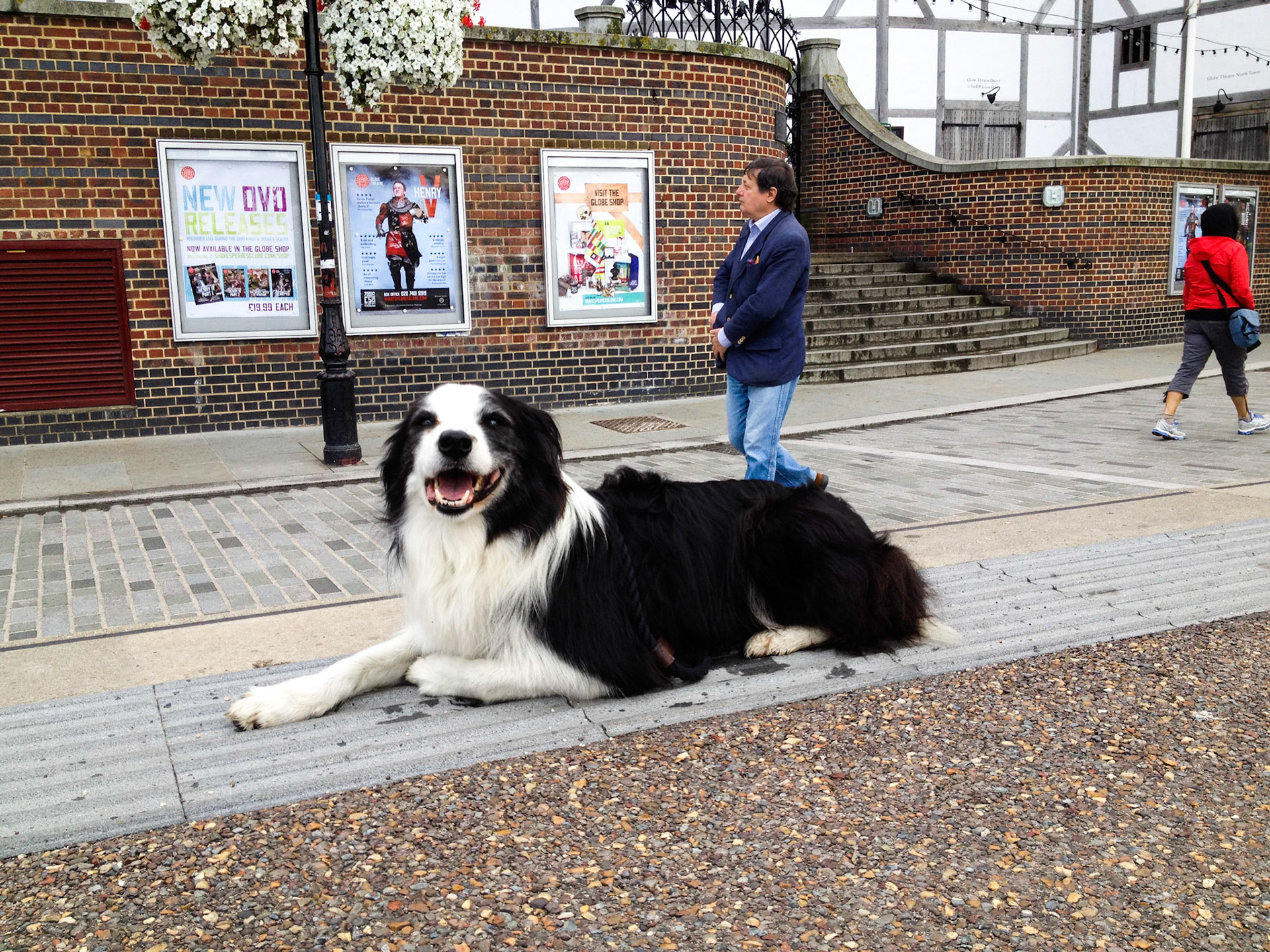 (Oba) Ohkba Ameziane-Hassani 2016 © obafkps@gmail.com ©  www.oba-photo.com