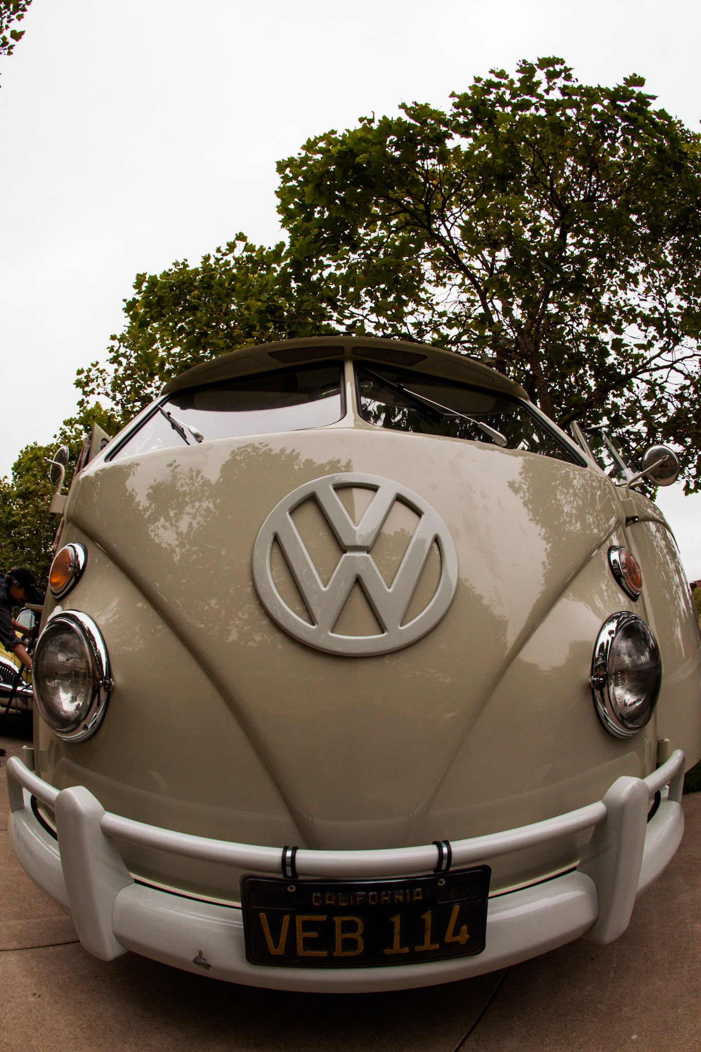 (Oba) Ohkba Ameziane-Hassani 2016 © obafkps@gmail.com ©  www.oba-photo.com