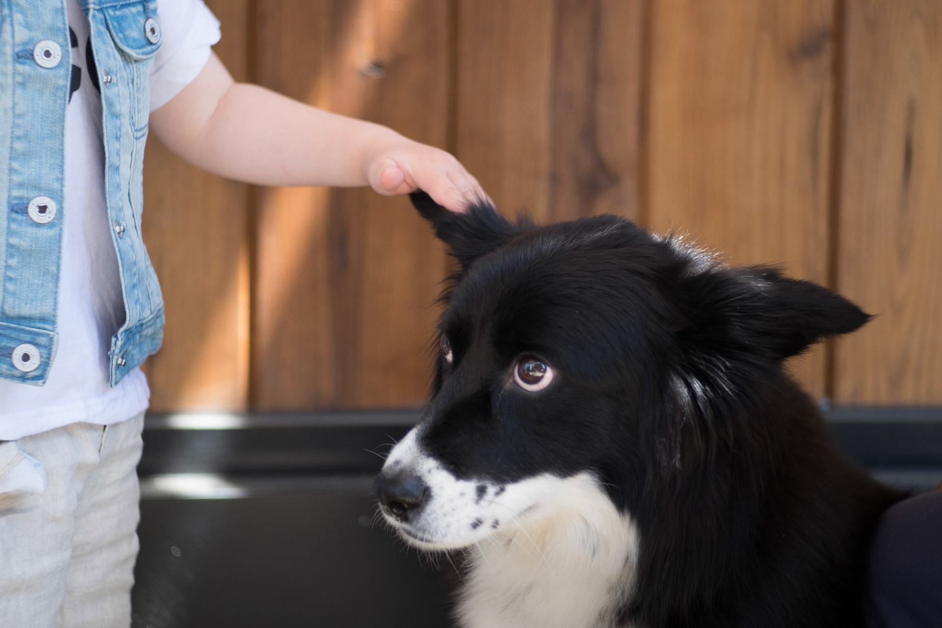 (Oba) Ohkba Ameziane-Hassani 2016 © obafkps@gmail.com ©  www.oba-photo.com