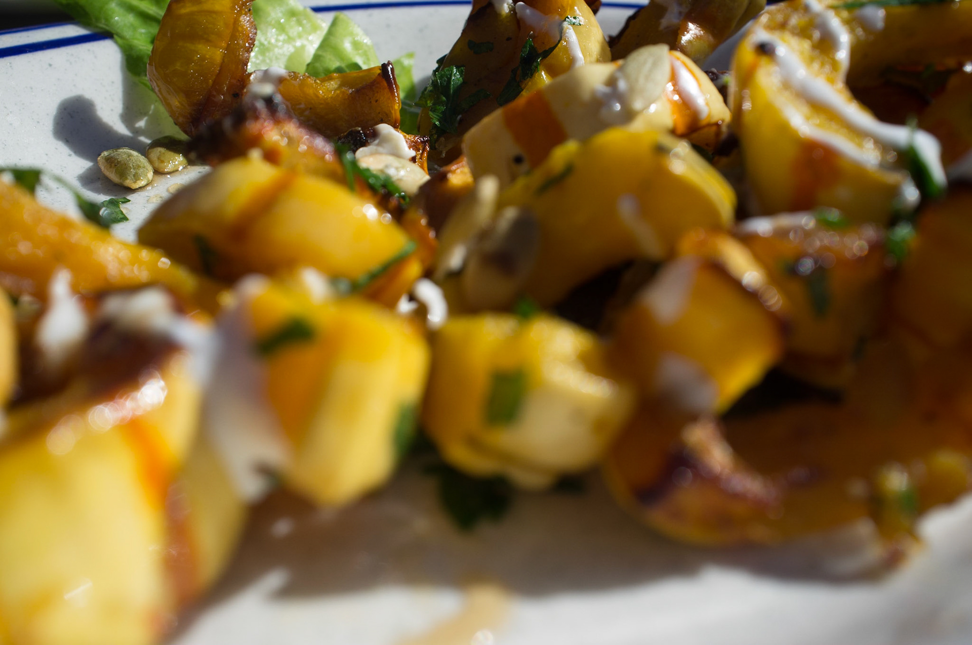 (Oba) Ohkba Ameziane-Hassani 2016 © obafkps@gmail.com ©  www.oba-photo.com