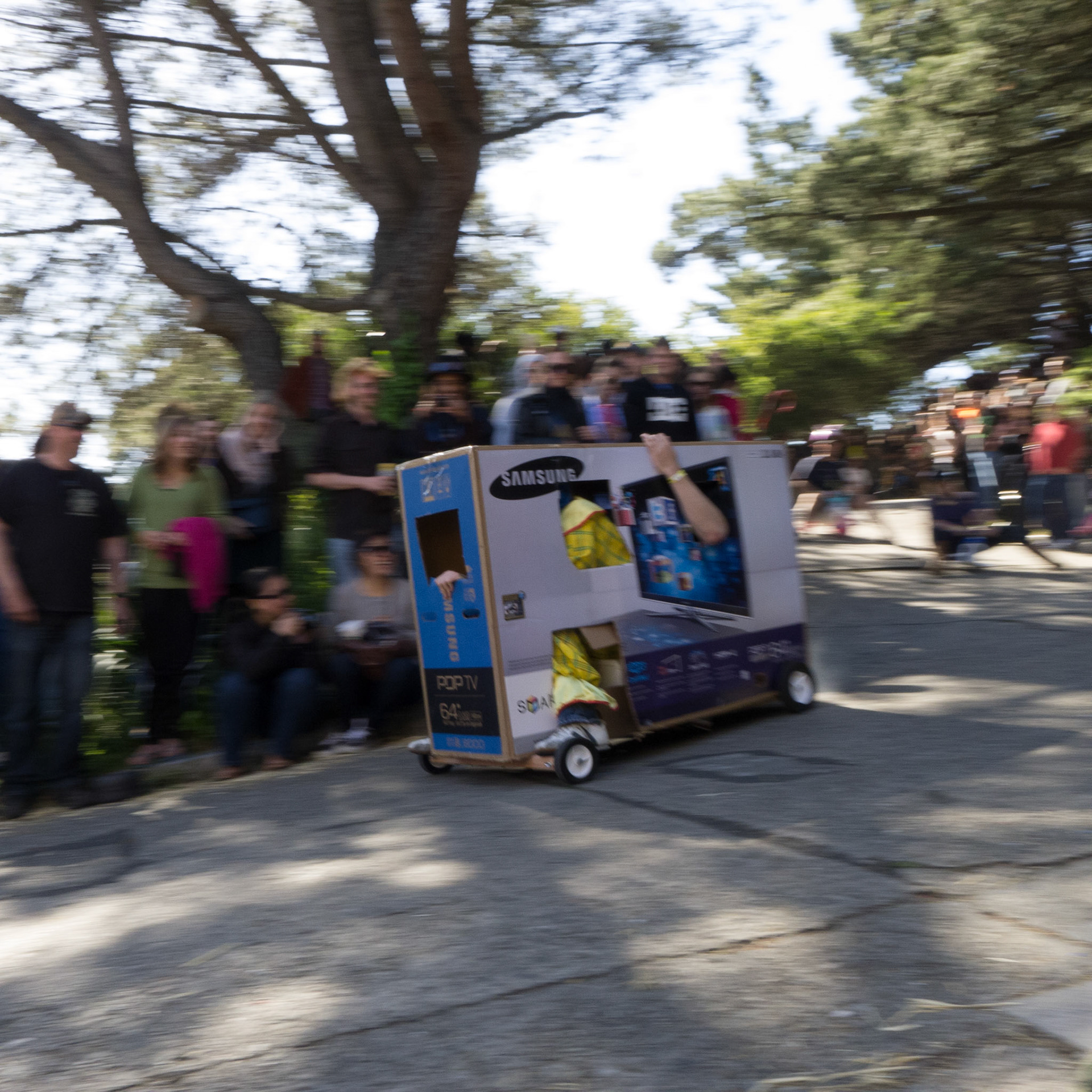 (Oba) Ohkba Ameziane-Hassani 2016 © obafkps@gmail.com ©  www.oba-photo.com