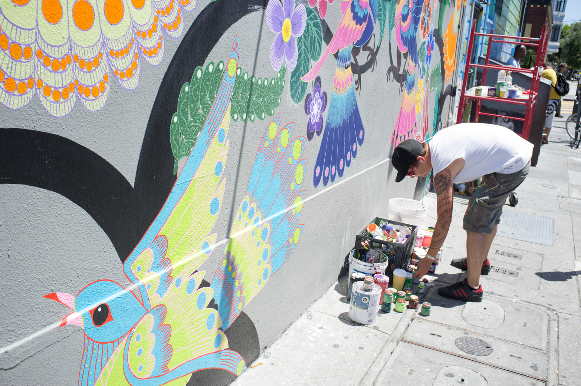 (Oba) Ohkba Ameziane-Hassani 2016 © obafkps@gmail.com ©  www.oba-photo.com