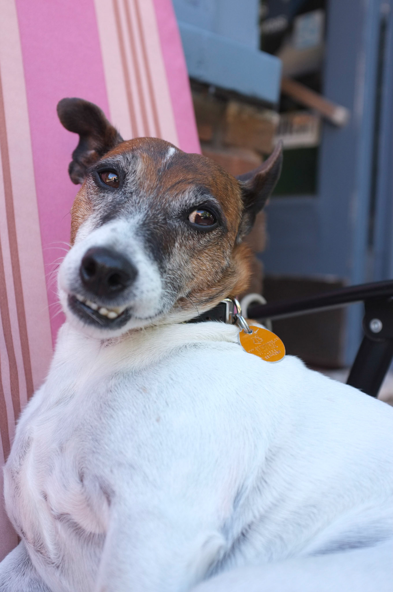 (Oba) Ohkba Ameziane-Hassani 2016 © obafkps@gmail.com ©  www.oba-photo.com