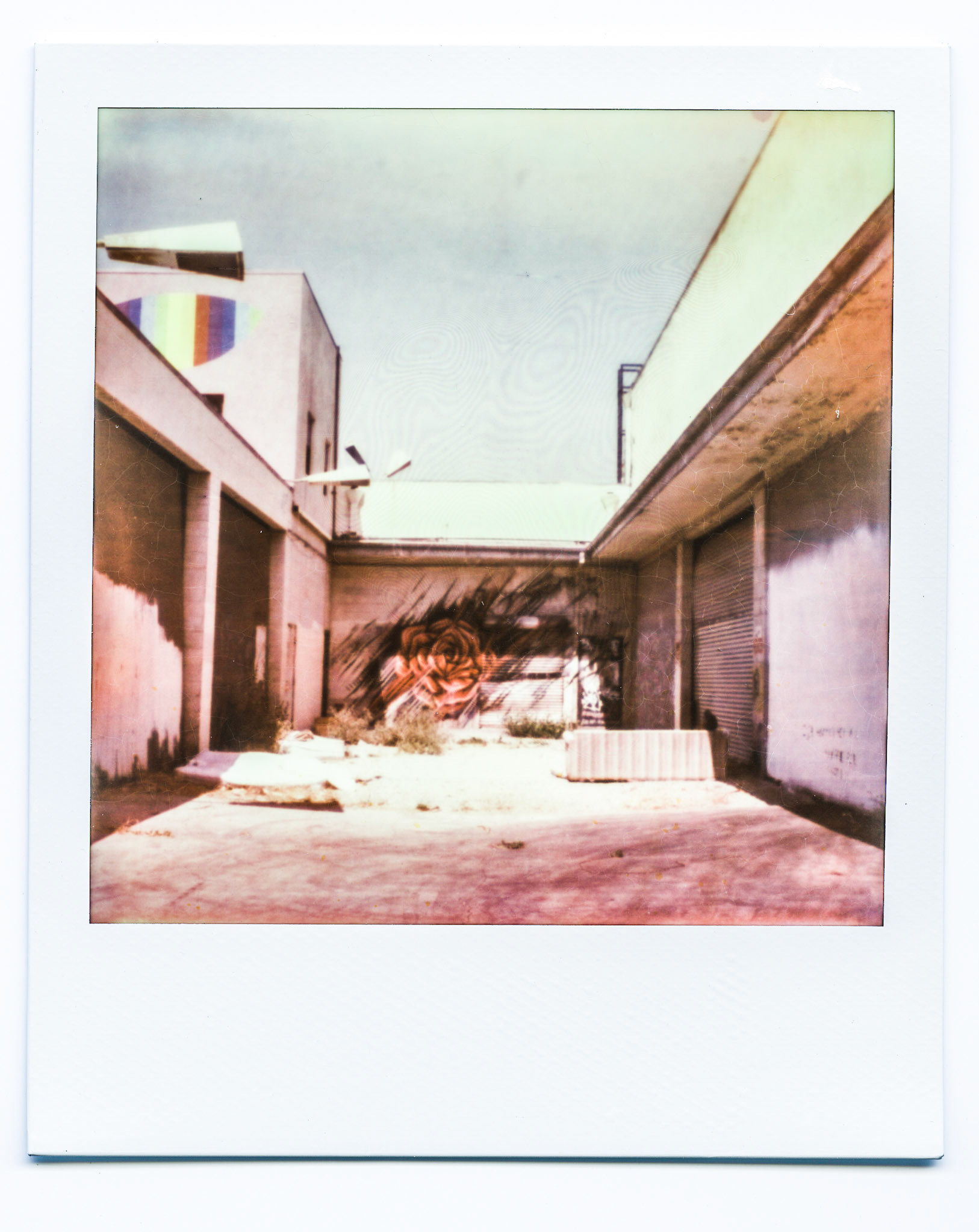 (Oba) Ohkba Ameziane-Hassani 2016 © obafkps@gmail.com ©  www.oba-photo.com©