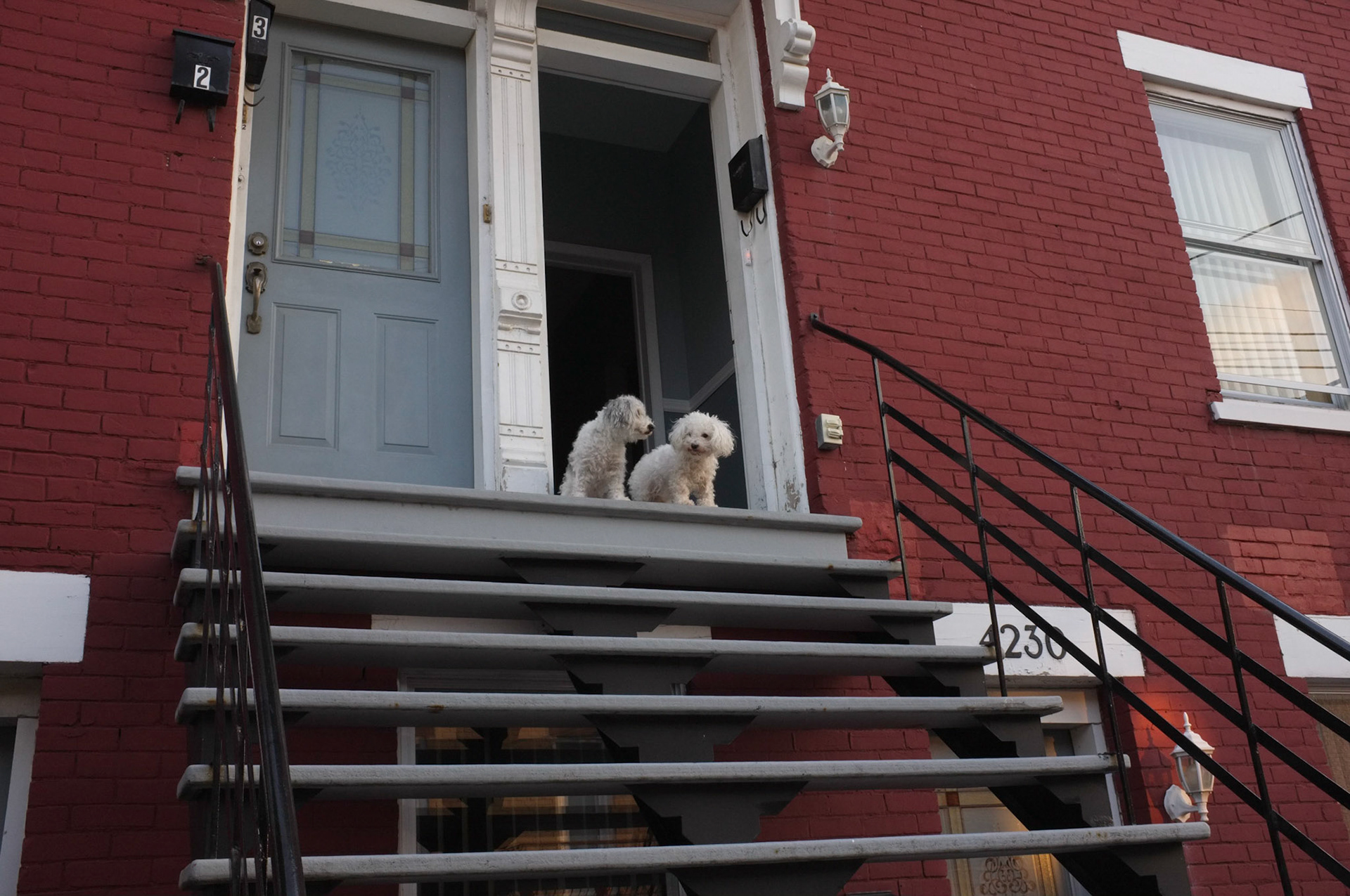 (Oba) Ohkba Ameziane-Hassani 2016 © obafkps@gmail.com ©  www.oba-photo.com