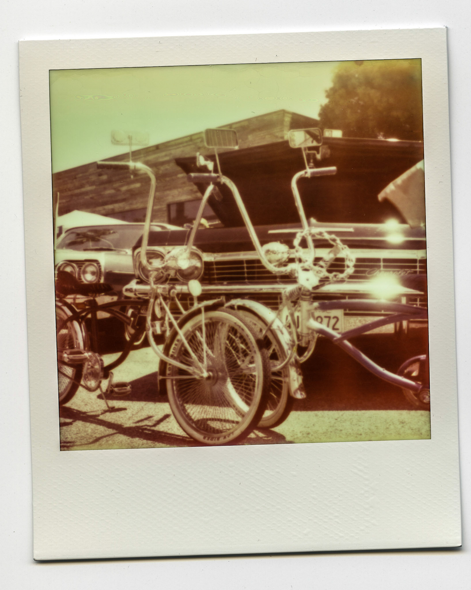 (Oba) Ohkba Ameziane-Hassani 2016 © obafkps@gmail.com ©  www.oba-photo.com©