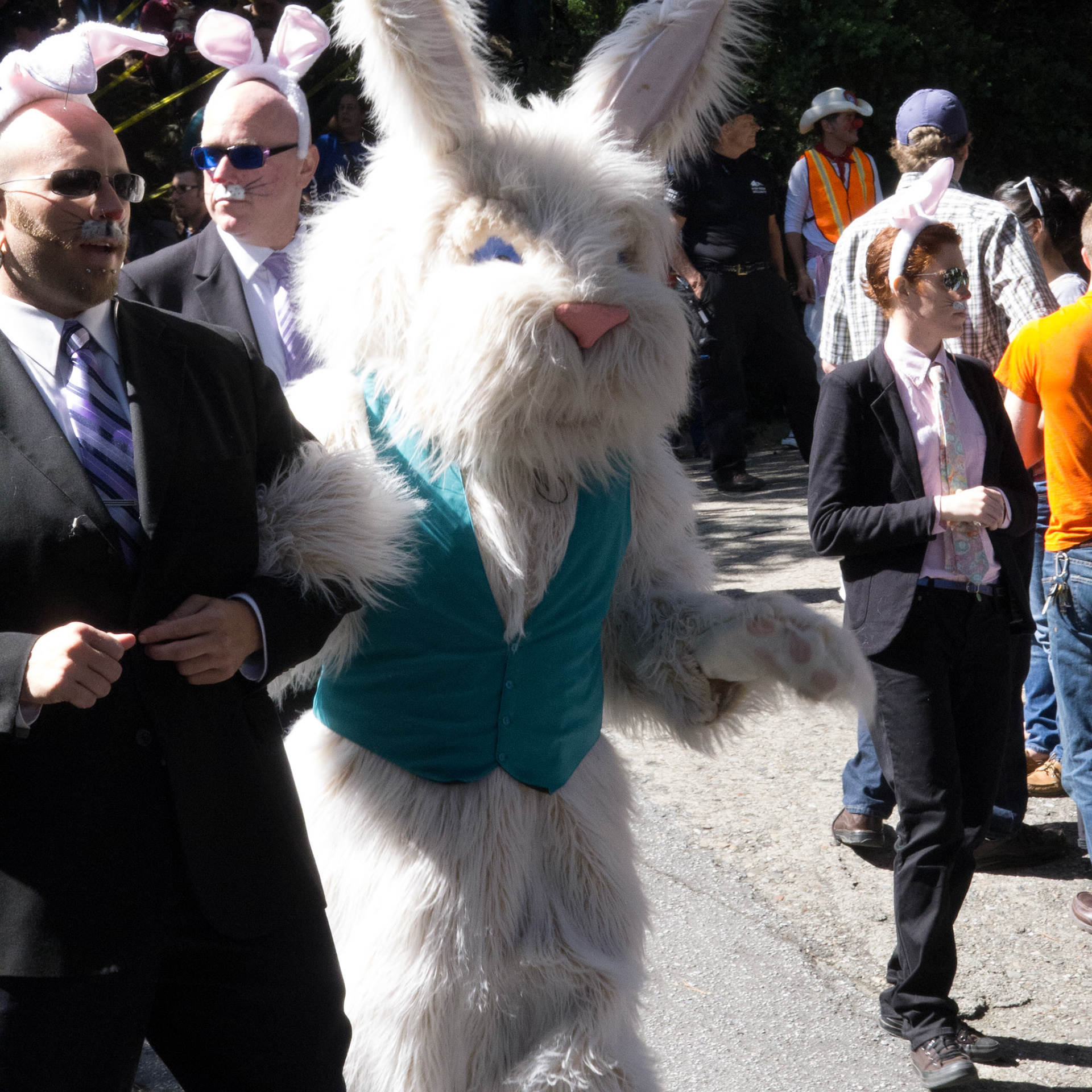 (Oba) Ohkba Ameziane-Hassani 2016 © obafkps@gmail.com ©  www.oba-photo.com