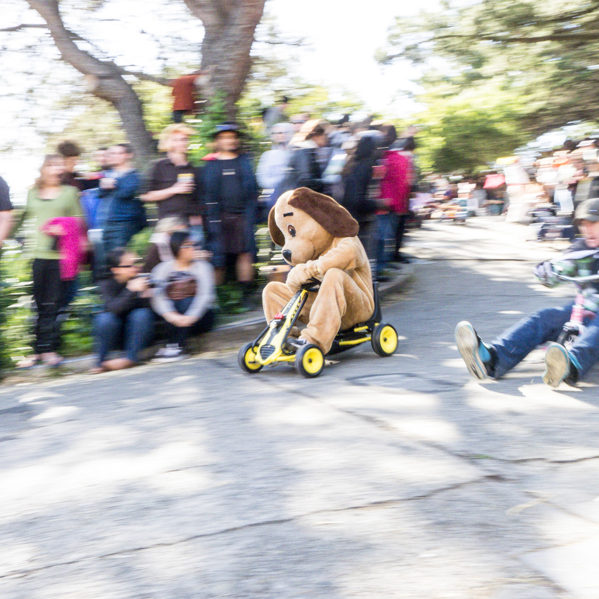 (Oba) Ohkba Ameziane-Hassani 2016 © obafkps@gmail.com ©  www.oba-photo.com