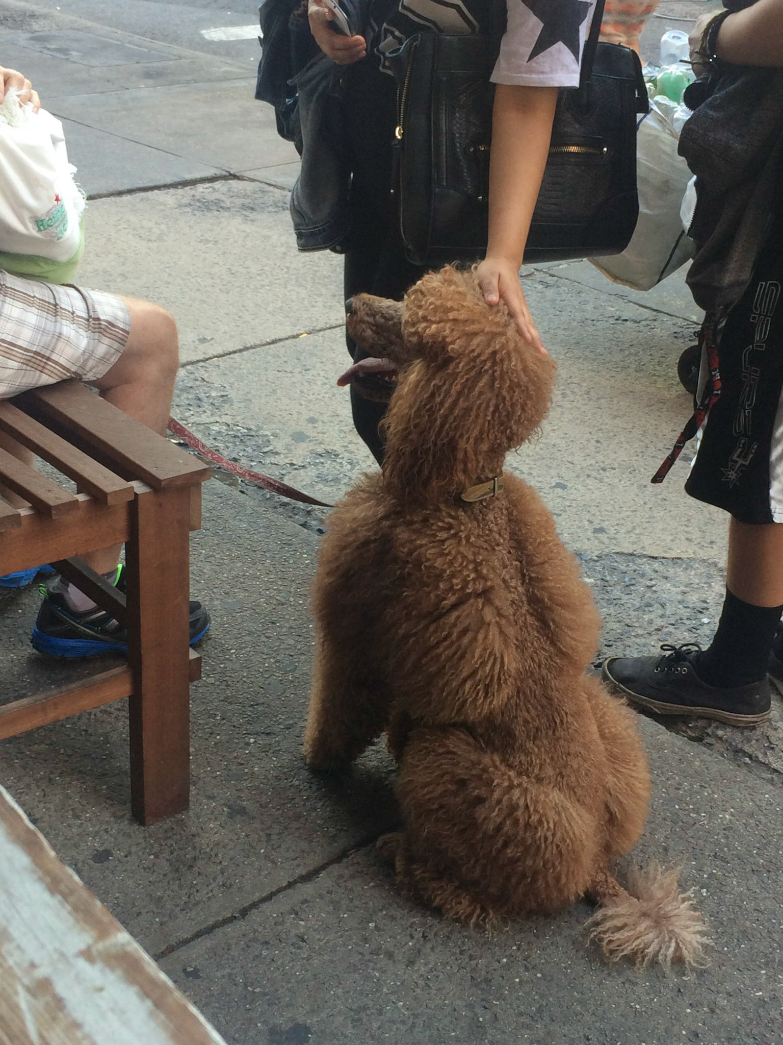 (Oba) Ohkba Ameziane-Hassani 2016 © obafkps@gmail.com ©  www.oba-photo.com