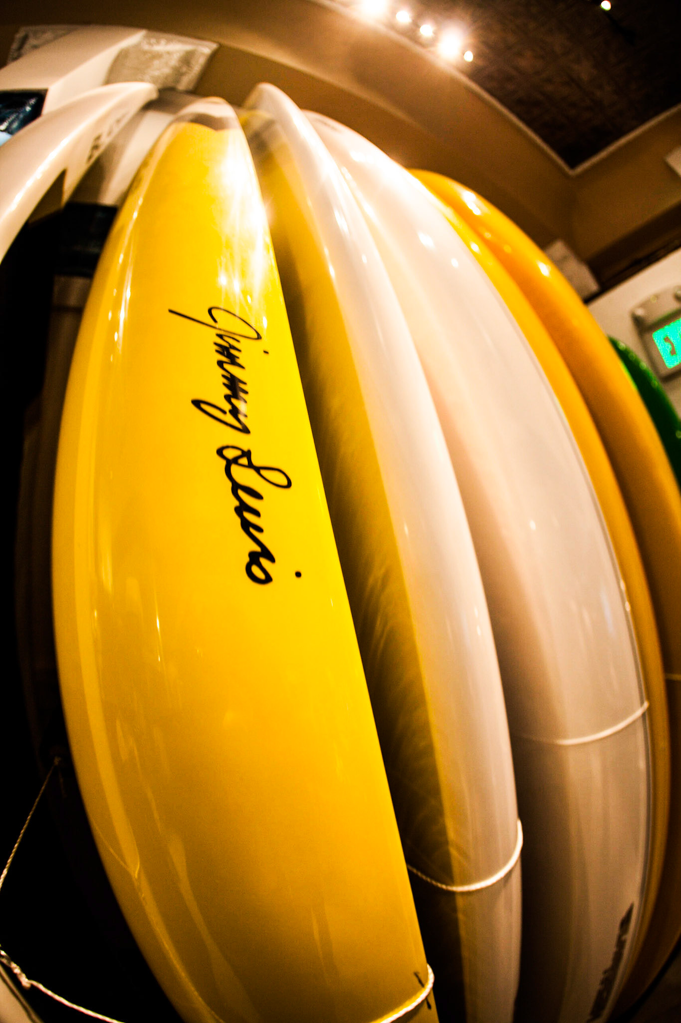 (Oba) Ohkba Ameziane-Hassani 2016 © obafkps@gmail.com ©  www.oba-photo.com