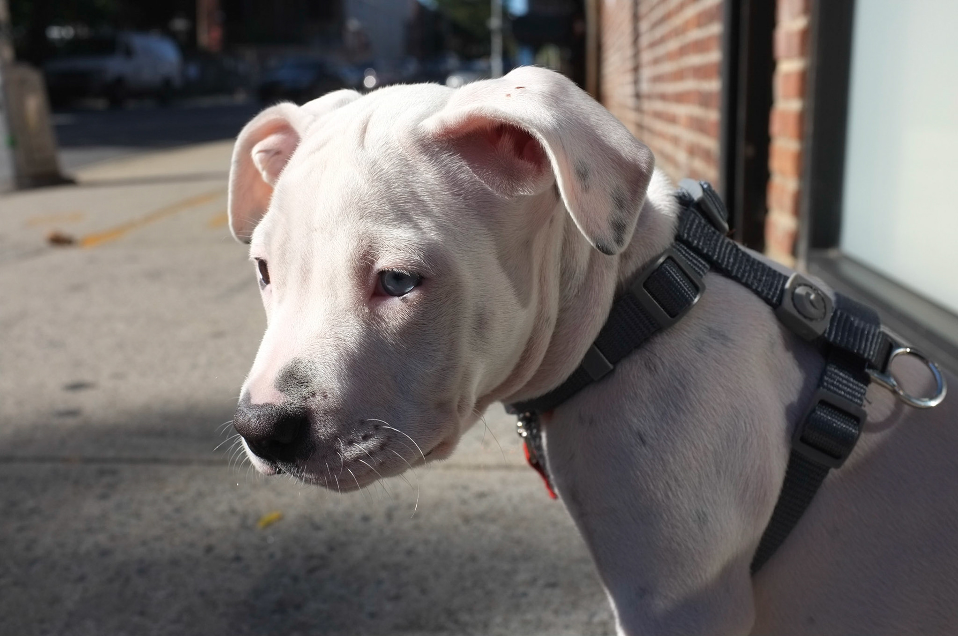 (Oba) Ohkba Ameziane-Hassani 2016 © obafkps@gmail.com ©  www.oba-photo.com